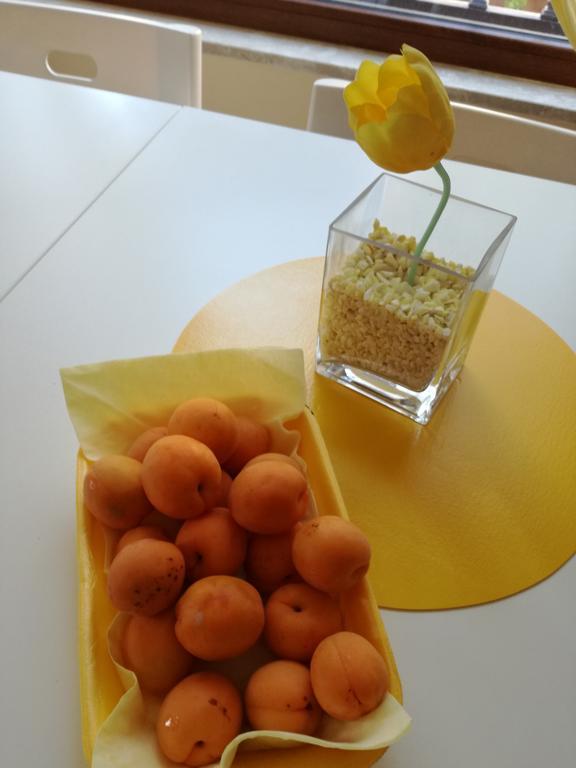The Yellow House 3* Fiumicino