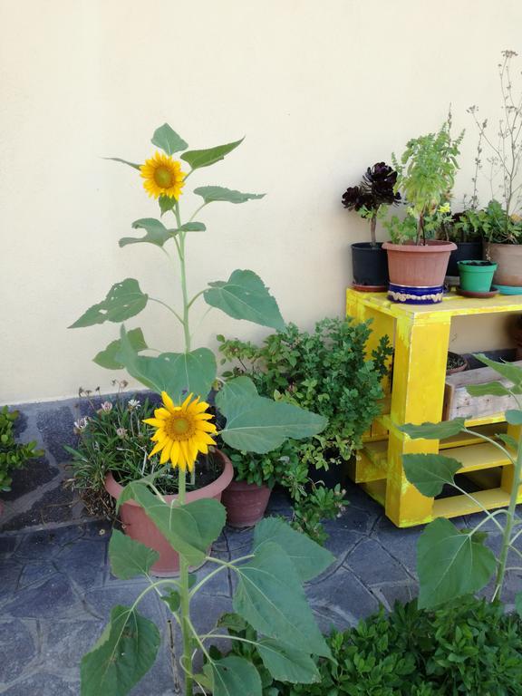 The Yellow House Fiumicino
